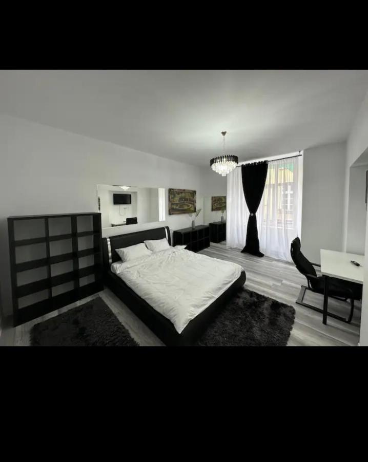 Piata Libertatii Apartament 1 Room Timişoara Extérieur photo