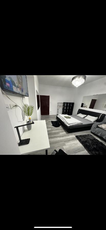 Piata Libertatii Apartament 1 Room Timişoara Extérieur photo